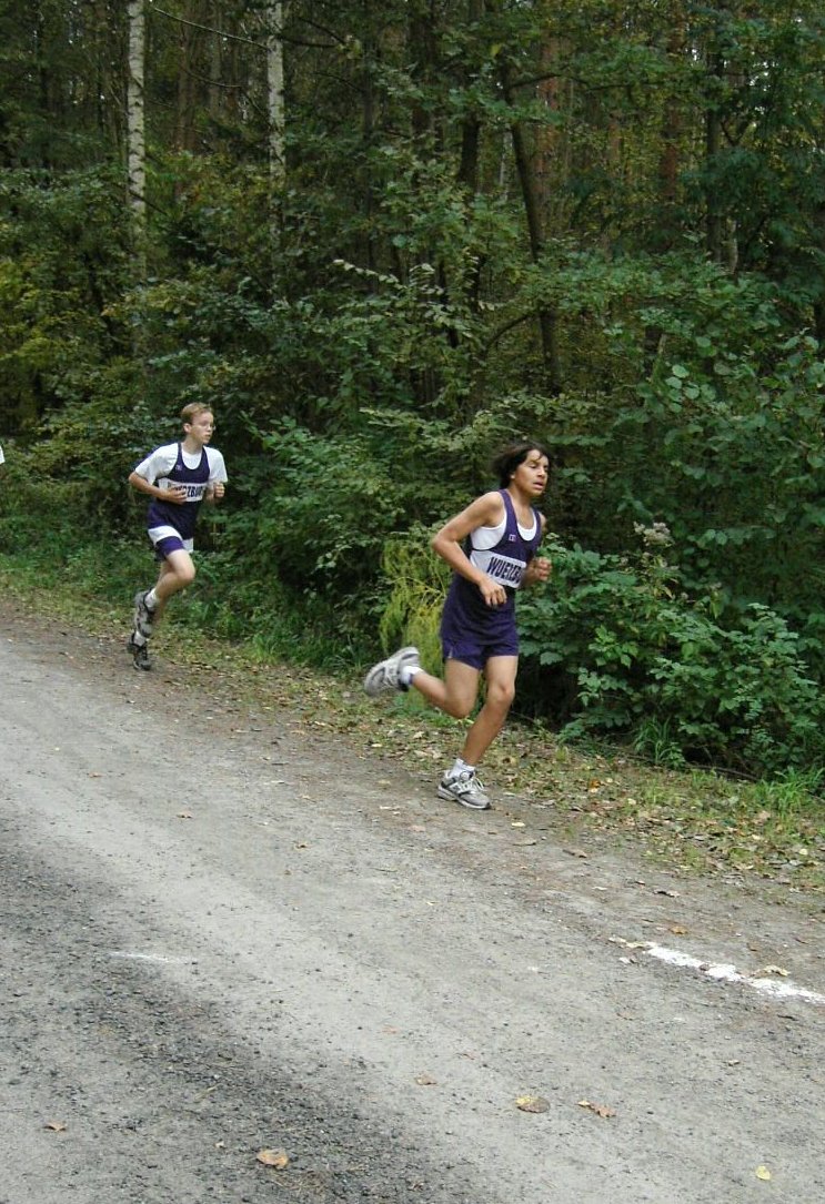 cc026 W into the forest.jpg 242.5K